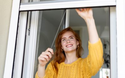 Moustiquaires : comment choisir le bon modèle ?